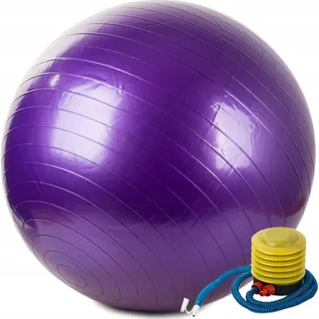 Gymnastický míč GYMNASTICKÝ MÍČ FITNESS 65 REHABILITAČNÍ S PUMPIČKOU NA CVIČENÍ VELKÝ