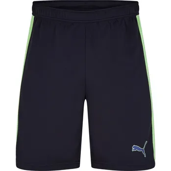 Pánské kraťasy Kraťasy Puma Navy 2213969 XL