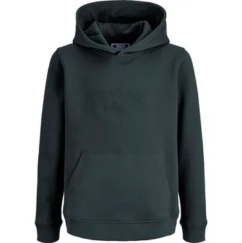 Chlapecká mikina JACK & JONES Junior Grau 1389767 176