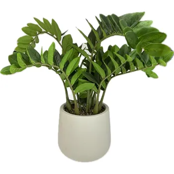 umělá květina Zamiokulkas 85 cm v plastovém béžovém květináči