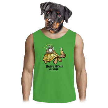 Pánské oblečení Bastard Stárnu pomalu pánské tílko Lime