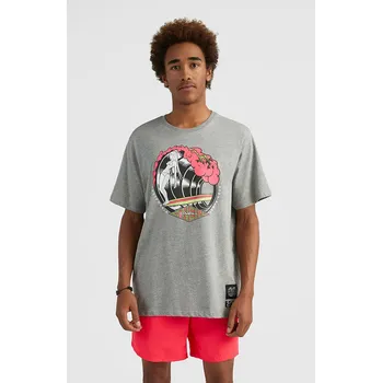 Pánské oblečení Tričko O'Neill Grau 2116750 XS