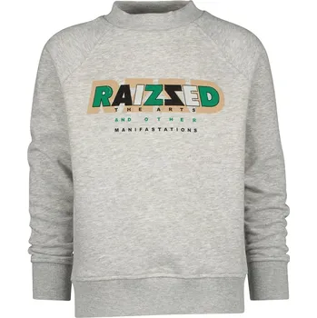 Dívčí mikina RAIZZED® Grau 5229193 140