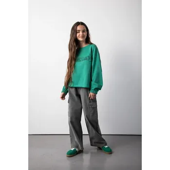 Chlapecká mikina Dětská bavlněná mikina Coccodrillo ZC5132101RGJ zelená 77X, vel. 134