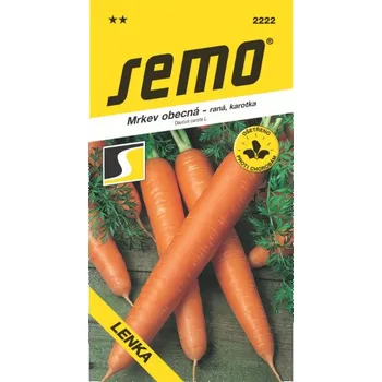 Semeno Mrkev karotka Lenka