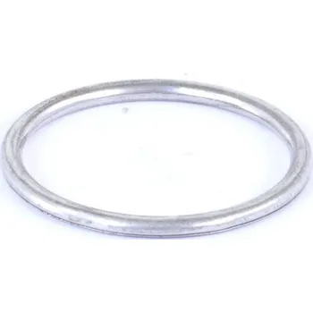 Těsnění výfuku Těsnění, výfuková trubka WALKER 81017