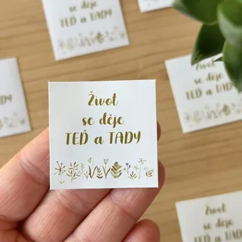 samolepka Motivační samolepka - Život se děje teď a tady (Be Nice) - kusová