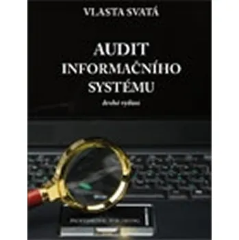 Audit informačního systému