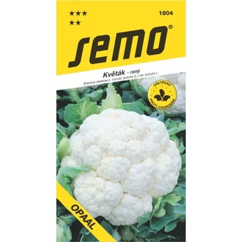 Semeno Květák raný Opaal 25 s