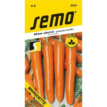 Semeno Mrkev poloraná Marquette