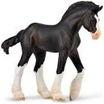 COLLECTA Hříbě Clydesdale - Black
