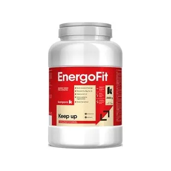 Nápoj pro sportovce EnergoFit 2550 g/30-42 litrov, čierna ríbezľa
