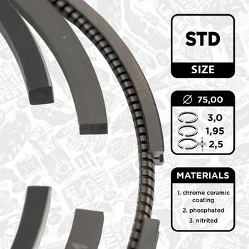 Píst motoru Sada pístních kroužků ET ENGINETEAM R1004100