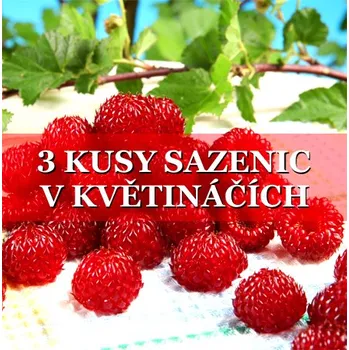 Sazenice 3 KUSY Maliník STROMEČKOVITÝ ´Raspberry Tower Hararasp´