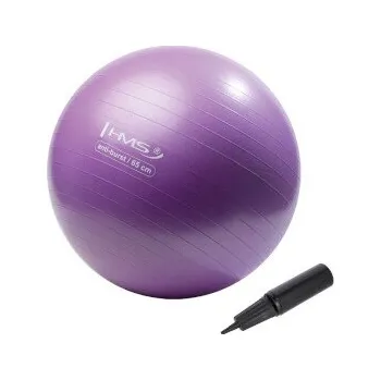 Gymnastický míč Gymnastický míč HMS YB02N 65 cm fialový