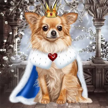 Diamantové malování Diamantové malování - Královna čivava - č. 231 30x30 cm