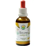 Salvia Paradise Ženšen pravý 6letý BIO tinktura - 50 ml