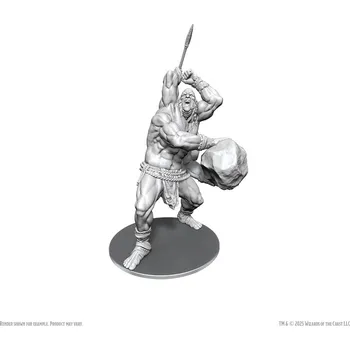 Desková hra WizKids D&D Nolzur's Marvelous Miniatures: B'rohg