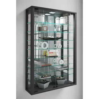 Komoda Vcm Nástěnná vitrína Vitrosa Mini se zrcadlem včetně LED osvětlení, černá