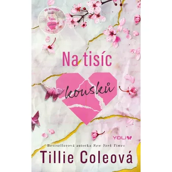 Kniha Na tisíc kousků