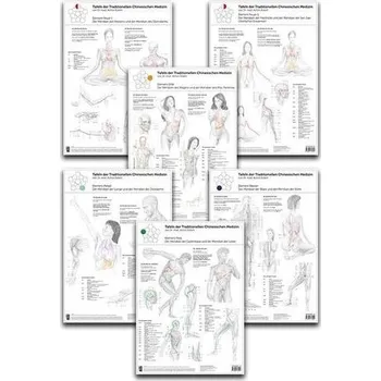 Tafeln der Traditionellen Chinesischen Medizin, 6 Tafeln - Eckert, Achim