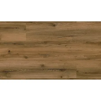 vinylová podlaha Vinylová podlaha Authentic Oak 0,55 Dub Knížecí