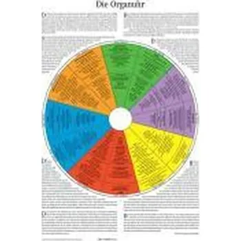 Die Organuhr - Gienger, Michael