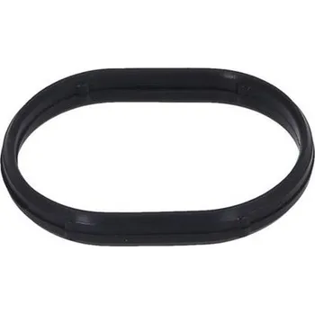 Těsnění motoru Těsnění, koleno sacího potrubí KAMOKA 8704159