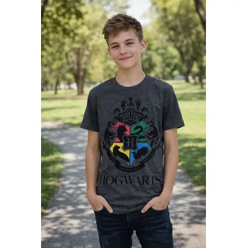 Chlapecké tričko Setino Tričko HARRY POTTER krátký rukáv šedé tmavé Šedé, Velikost: 134 134