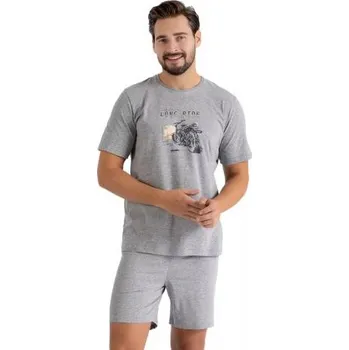 Pánské pyžamo Pánské pyžamo Sam 1462/41 HOTBERG šedá melír XXL