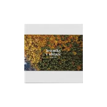 Umění Jeseníky v obraze