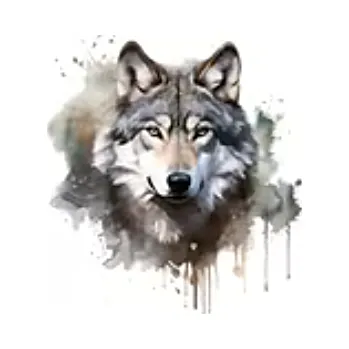 Nažehlovací obrázek - vlk XII (8,4 x 9,0 cm)