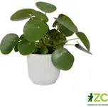 Obal Vibes Fold - silky white 22 cm