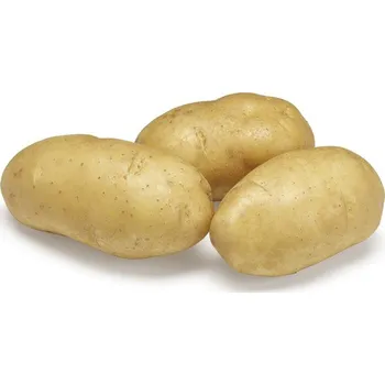 Sazenice Sadba brambor Impala (pytel 5kg)