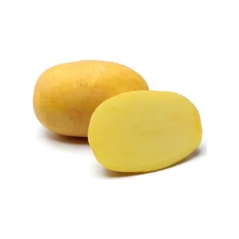 Sazenice Sadba brambor AGRIA (pytel 5kg, sadbové brambory)