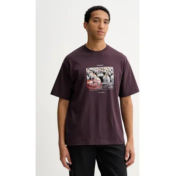 Pánské oblečení Bavlněné tričko Vans VN000PCXEMS1 fialová 49X, vel. XXL