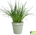 Květináč Green Basics - stone green 40 cm