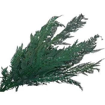 umělá květina FLOWERIO Stabilizované kapradinové listy Rumora 10ks – tmavě zelené