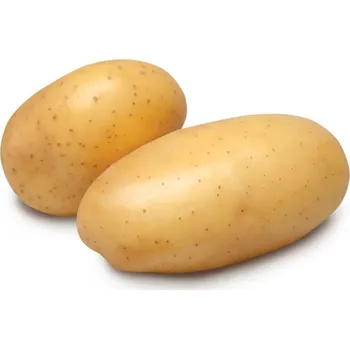 Sazenice Sadba brambor ADÉLA (pytel 5kg, sadbové brambory)