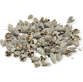 Sušené ovoce FLOWERIO Sušené plody Bakuli 200g - vintage bíle mořené