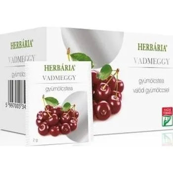 Sušené ovoce Herbária Ovocný čaj s příchutí divoké višně (20ks)