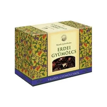 Sušené ovoce Mecsek Ovocný čaj sypaný lesní ovoce (100g)