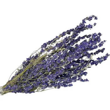 umělá květina FLOWERIO Sušené květy Delphinium Stračka 100g - fialová