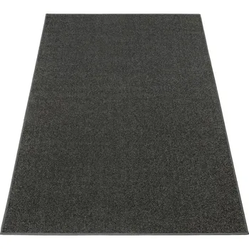 Koberec Betap Kusový koberec Dynasty 76 grafit šedý Rozměr: 100x250 cm