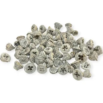 Sušené ovoce FLOWERIO Sušené plody Eukalyptus Globulus 160g - vintage bílé