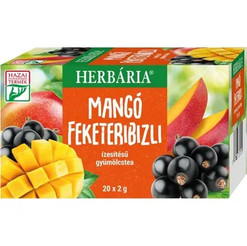 Sušené ovoce Herbária Ovocný čaj s příchutí mango a černý rybíz porcovaný (20ks)