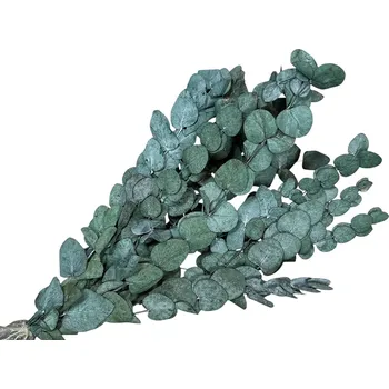 umělá květina FLOWERIO Stabilizované eukalyptové listy Stuartiana STŘEDNÍ - modrozelené