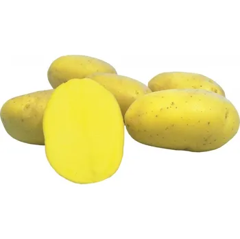 Sazenice Sadba brambor PRINCESS (pytel 5kg)
