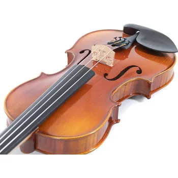 Housle GEWA Housle Maestro 1-VL31/4 včetně Setup, tvarového pouzdra, Massaranduba smyčce a Larsen Aurora strun 63353