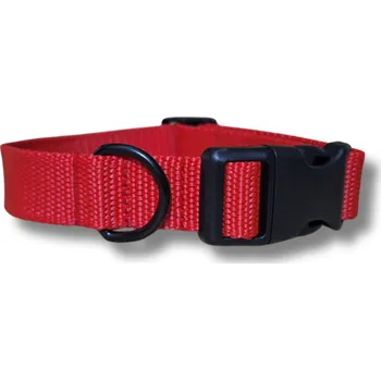 Obojek pro psa Obojek Clasic - ČERVENÁ, S, 2 cm